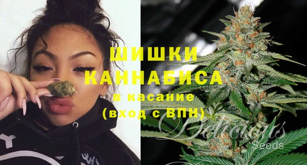 соль курить ск Бородино
